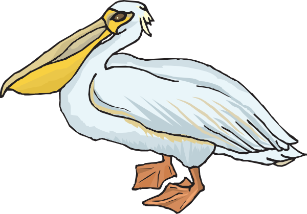 Pelican clipart #5, Download drawings