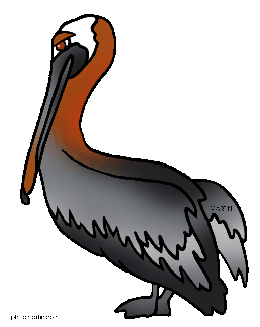 Pelican clipart #6, Download drawings