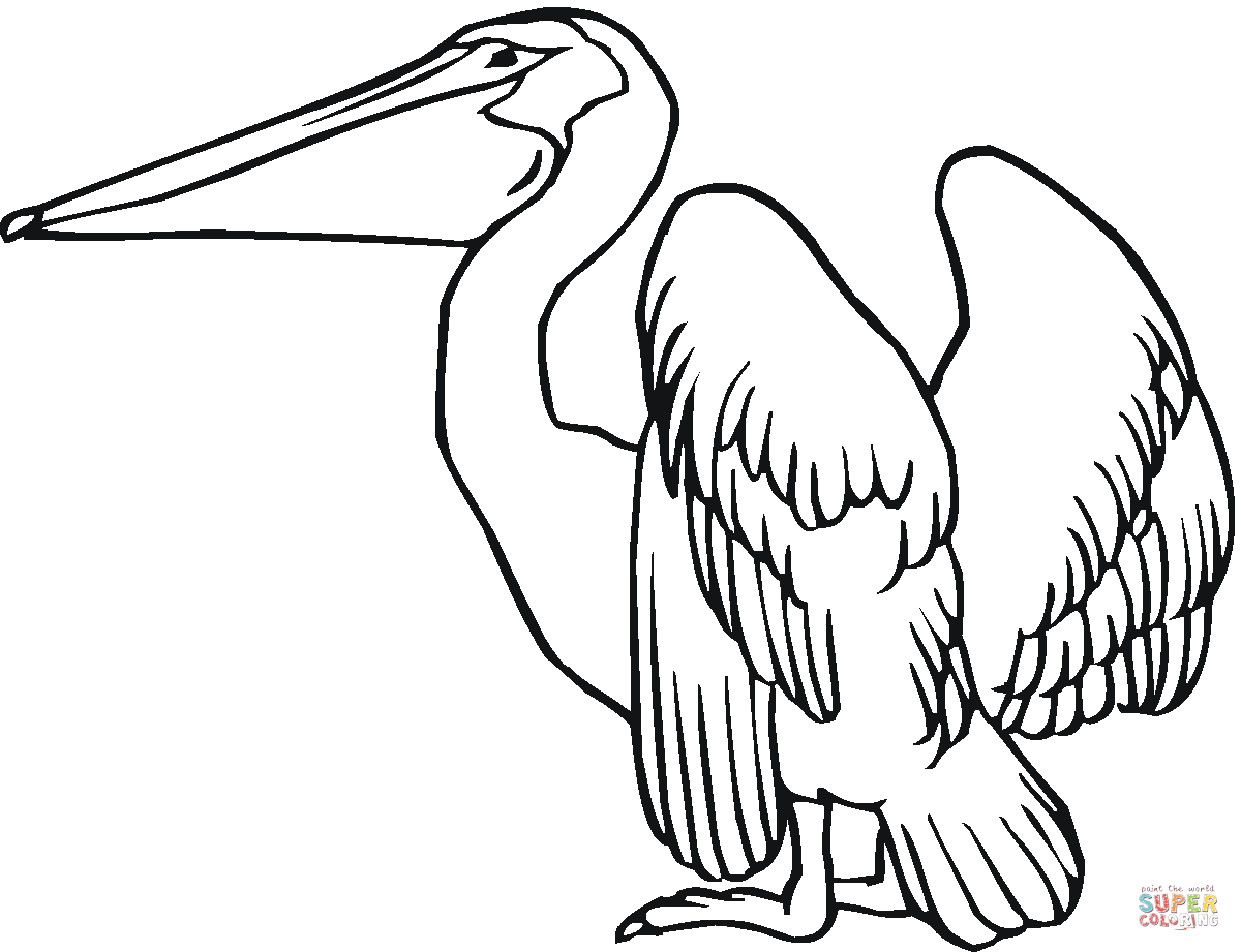 Pelican coloring #18, Download drawings