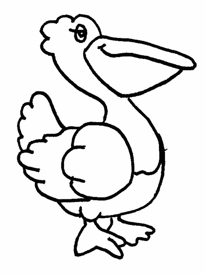 Pelican coloring #8, Download drawings