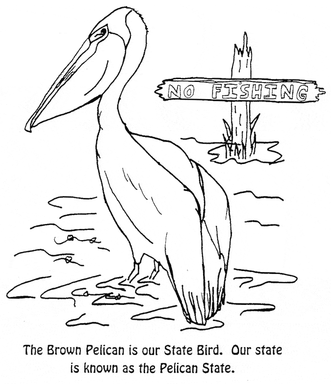 Pelican coloring #7, Download drawings