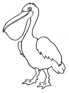 Pelican coloring #1, Download drawings