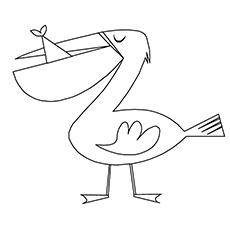 Pelican coloring #19, Download drawings