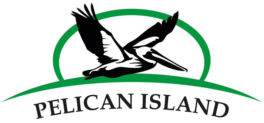 Pelican Island clipart #1, Download drawings