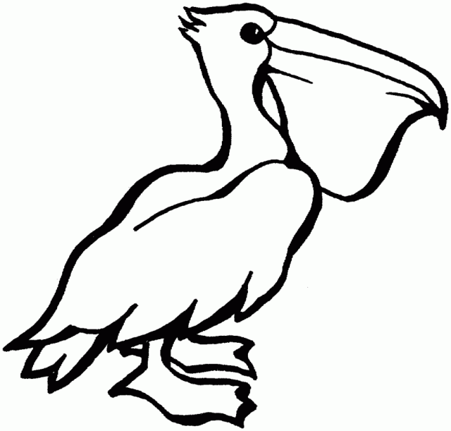 Pelican Island coloring #2, Download drawings