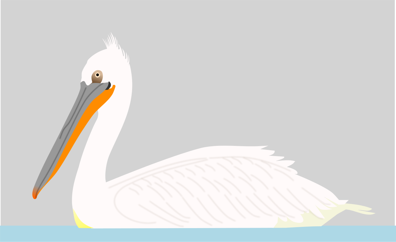 Pelican svg #8, Download drawings
