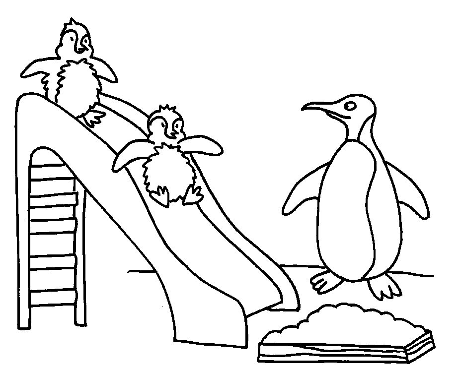 Penguin coloring #16, Download drawings