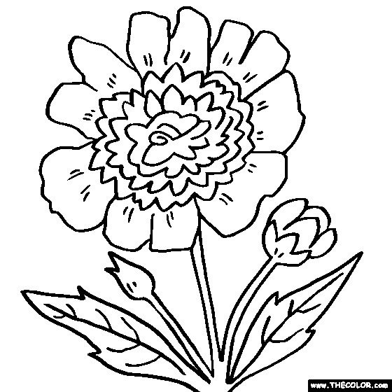 Peony coloring #11, Download drawings
