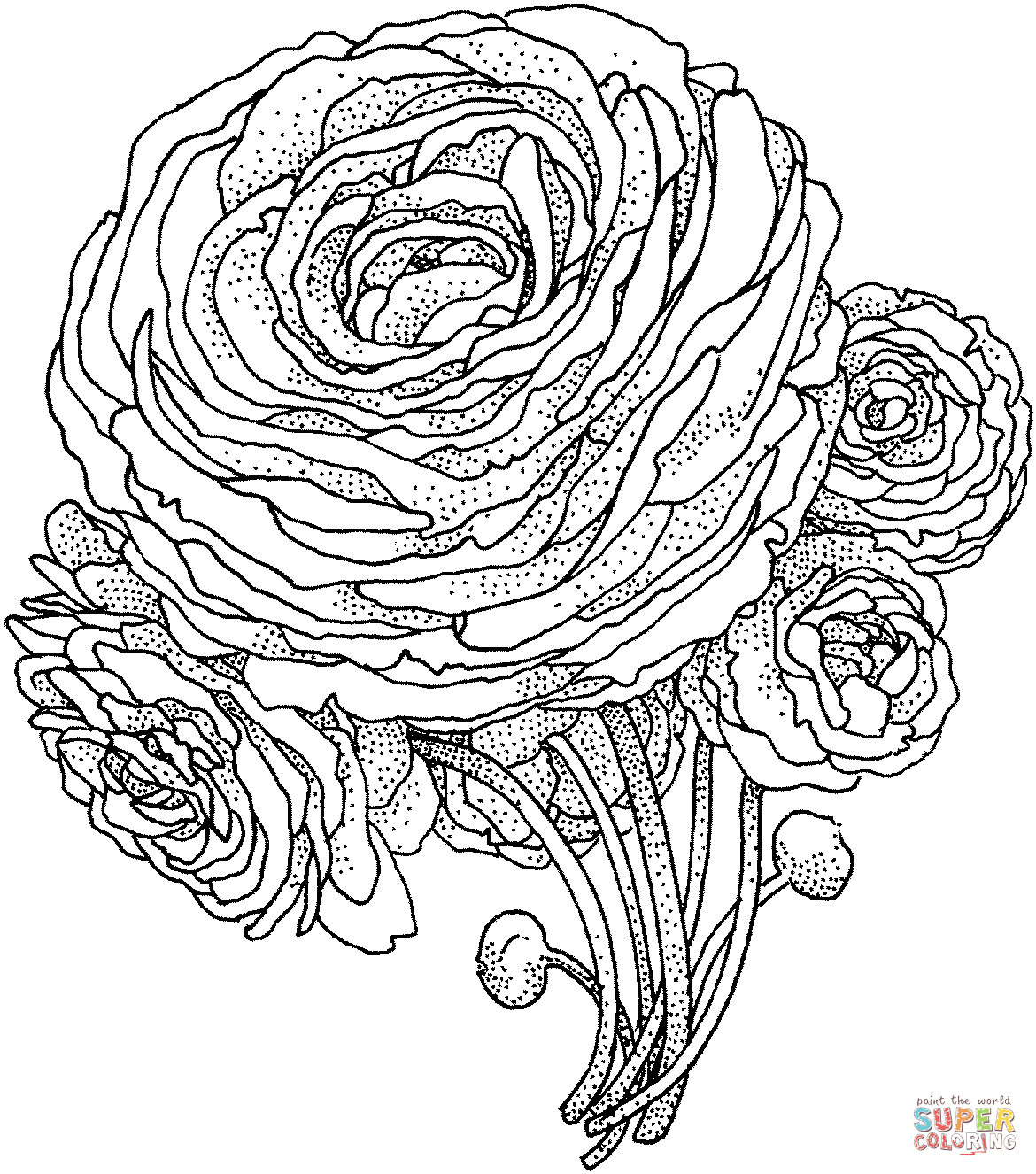 Peony coloring #7, Download drawings
