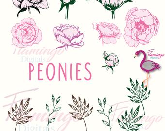 Peony svg #424, Download drawings