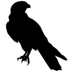 Peregrine Falcon svg #5, Download drawings