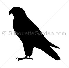 Peregrine Falcon svg #20, Download drawings