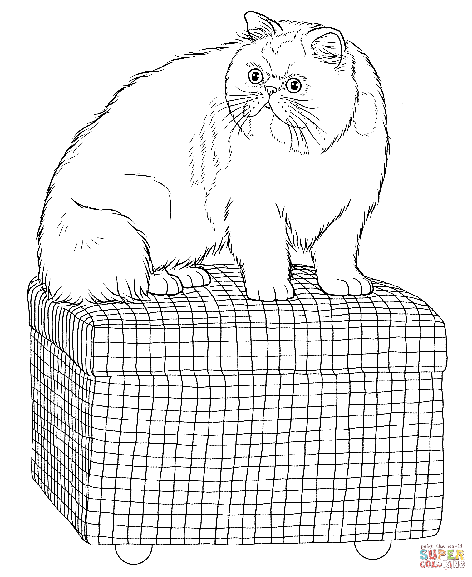 Persian Cat coloring #16, Download drawings