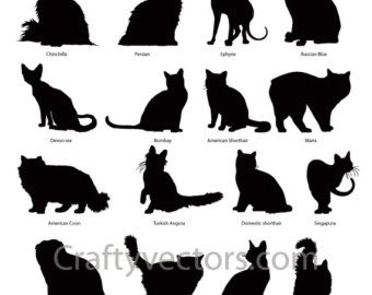 Persian Cat svg #8, Download drawings