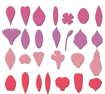 Free Free Flower Shape Svg 491 SVG PNG EPS DXF File