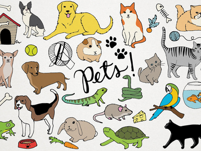 Pets clipart #5, Download drawings