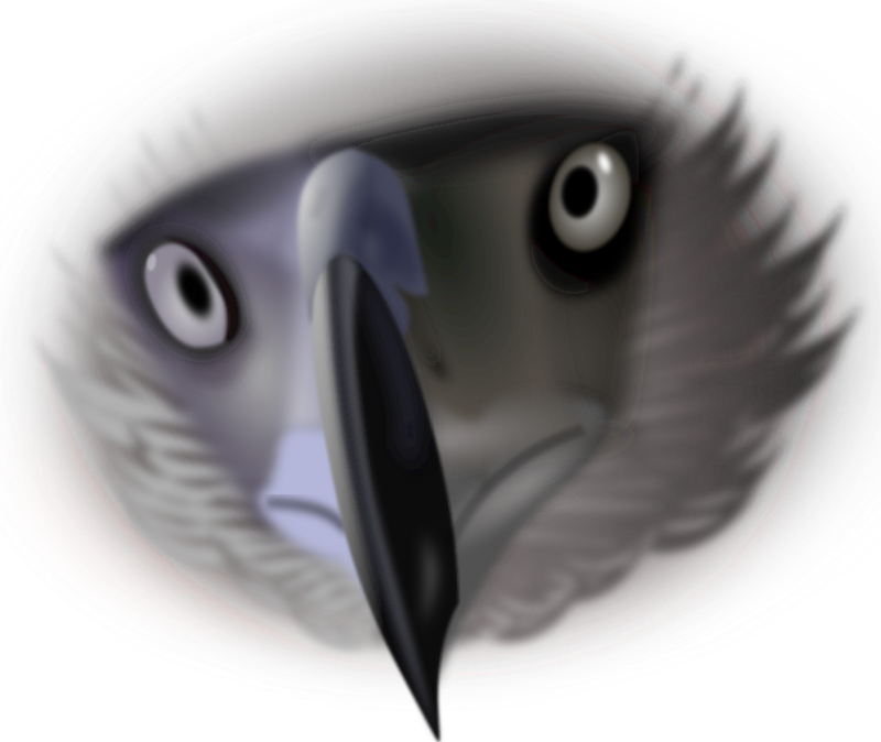 Phillipine Eagle svg #14, Download drawings