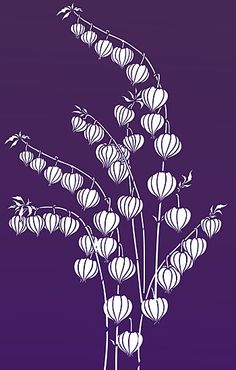 Physalis svg #14, Download drawings