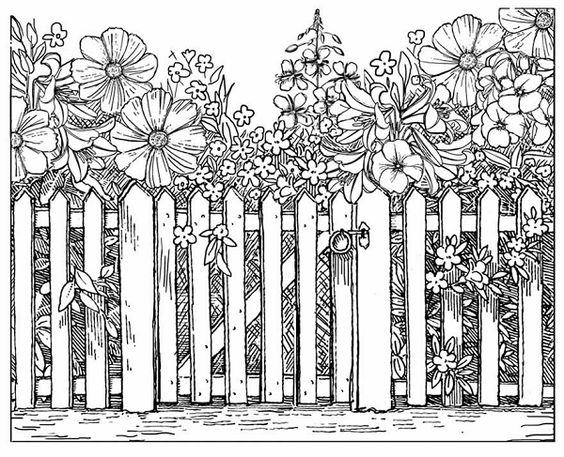 Picket Fence coloring #5, Download drawings