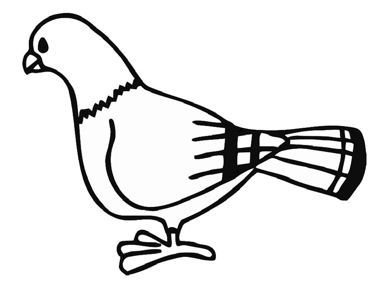 Pigeon coloring #18, Download drawings