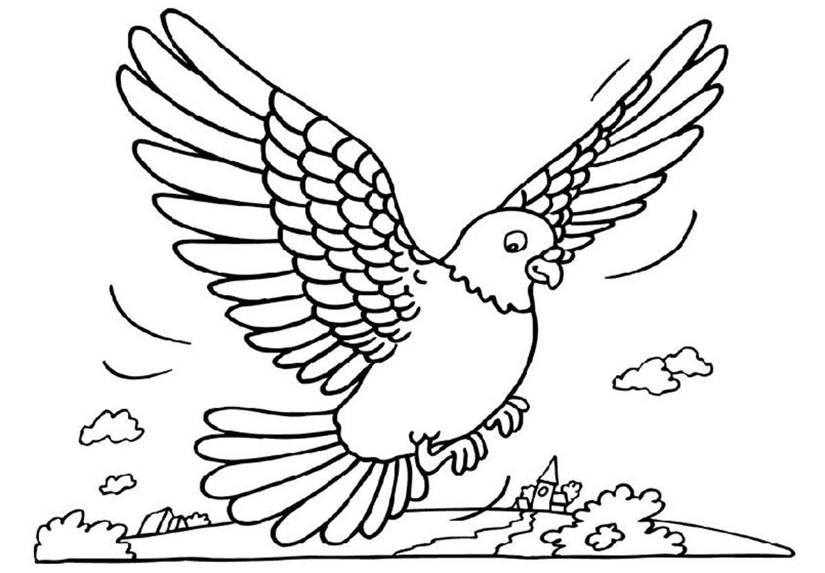 Pigeon coloring #17, Download drawings