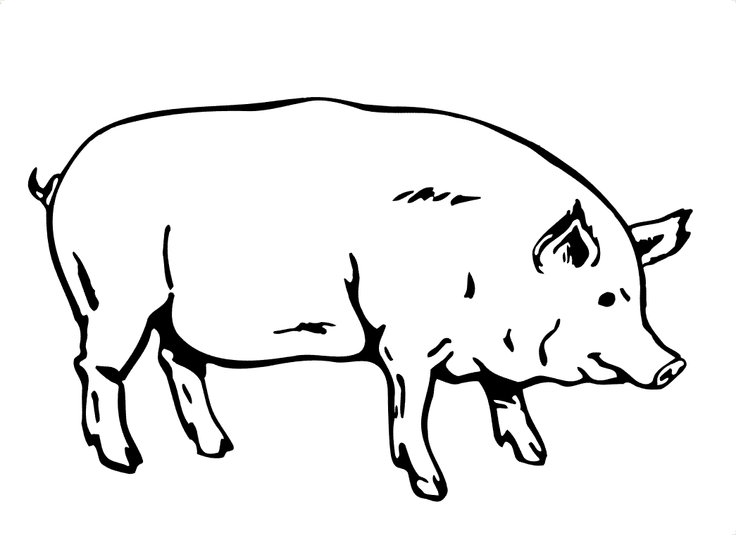 Pig coloring #12, Download drawings