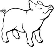 Pig coloring #19, Download drawings