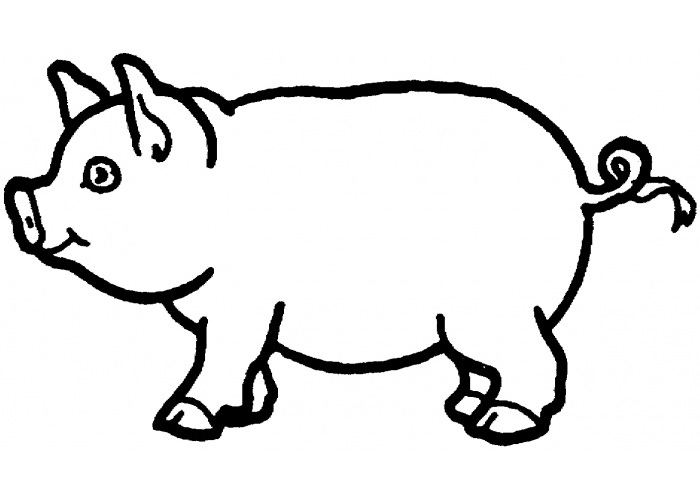 Pig coloring #16, Download drawings