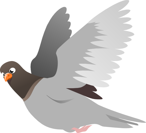 Pigeon clipart #16, Download drawings
