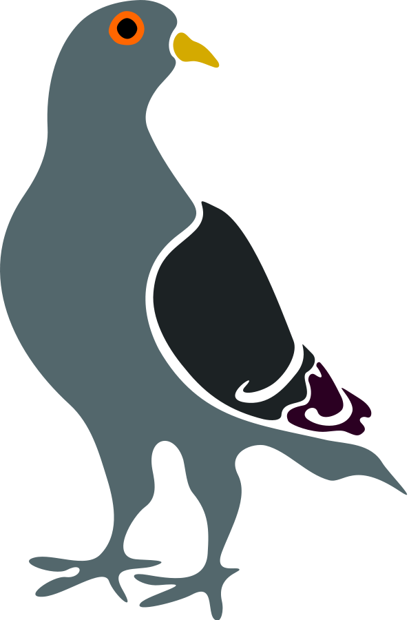Pigeon svg #19, Download drawings