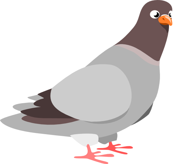 Pigeon svg #17, Download drawings