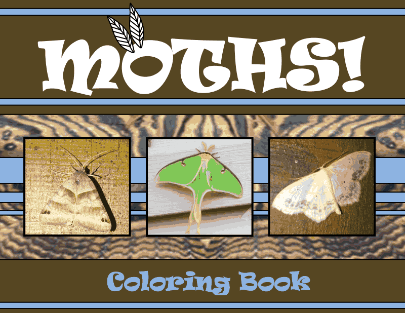 Pindi Moth coloring #10, Download drawings