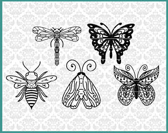 Pindi Moth svg #14, Download drawings