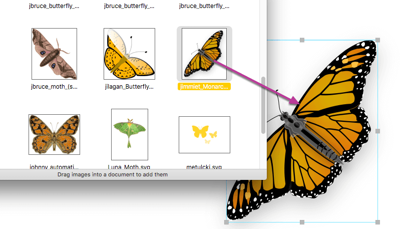 Pindi Moth svg #11, Download drawings