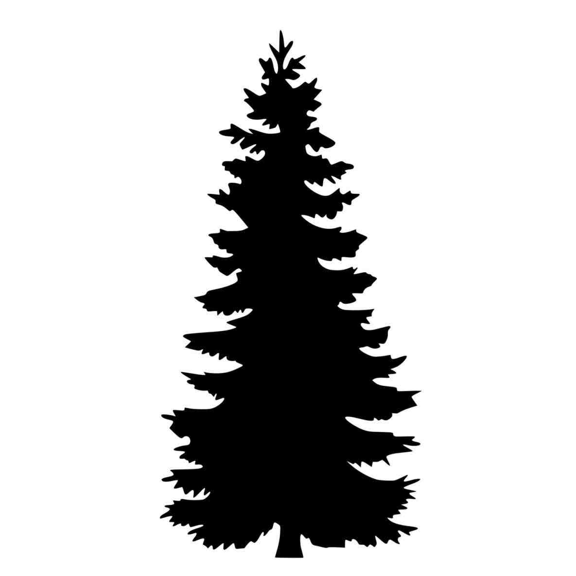 Pine clipart #10, Download drawings