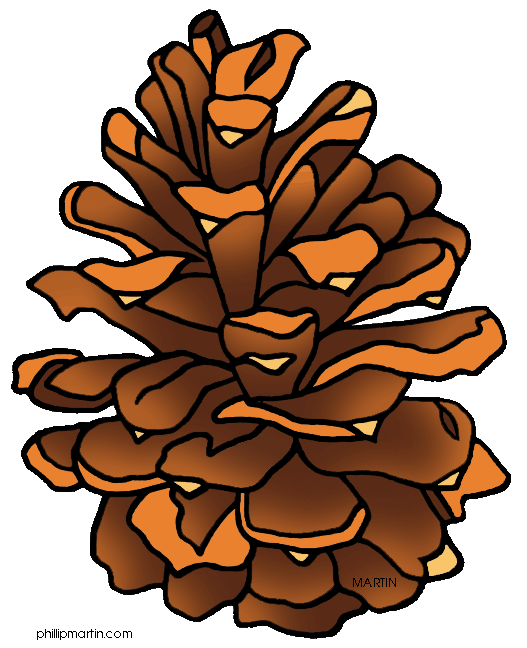 Pine Cone clipart #17, Download drawings