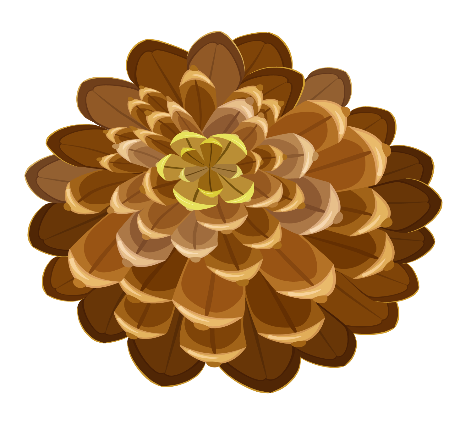Pine Cone clipart #3, Download drawings