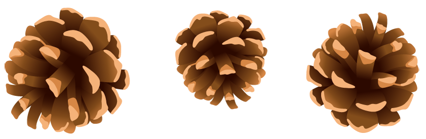 Pine Cone clipart #5, Download drawings