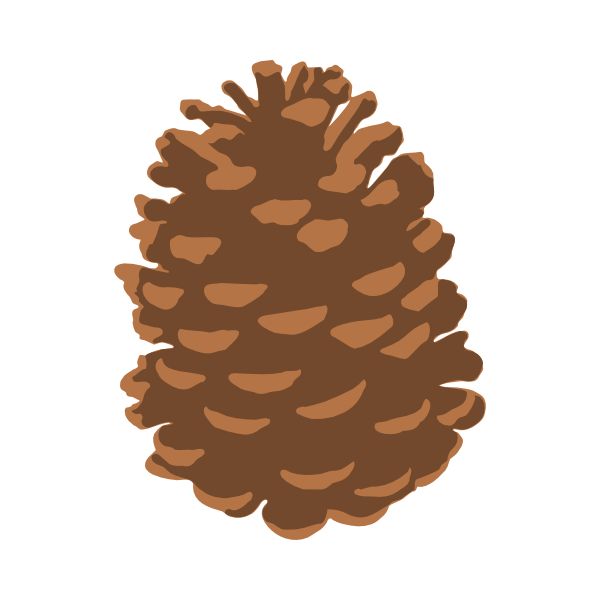 Pine Cone svg #18, Download drawings