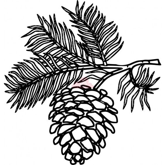 Pine Cone svg #9, Download drawings