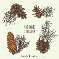 Pine Cone svg #10, Download drawings