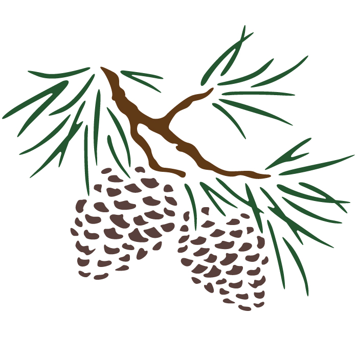 Pine Cone svg #8, Download drawings