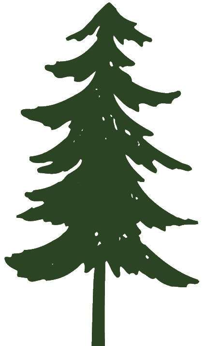 Pine Tree clipart #13, Download drawings