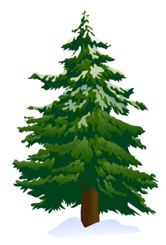 Pine Tree clipart #18, Download drawings