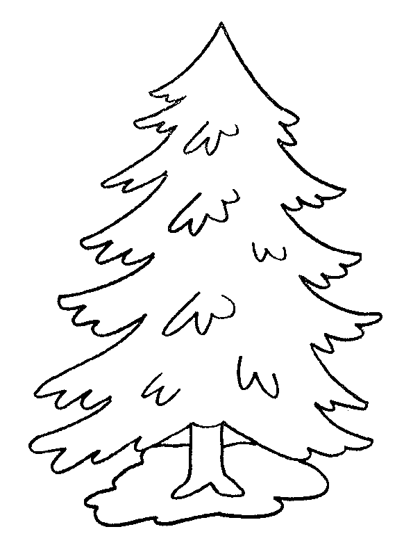 Pine Tree coloring #19, Download drawings