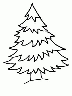 Pine Tree coloring #6, Download drawings