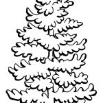 Pine Tree coloring #10, Download drawings