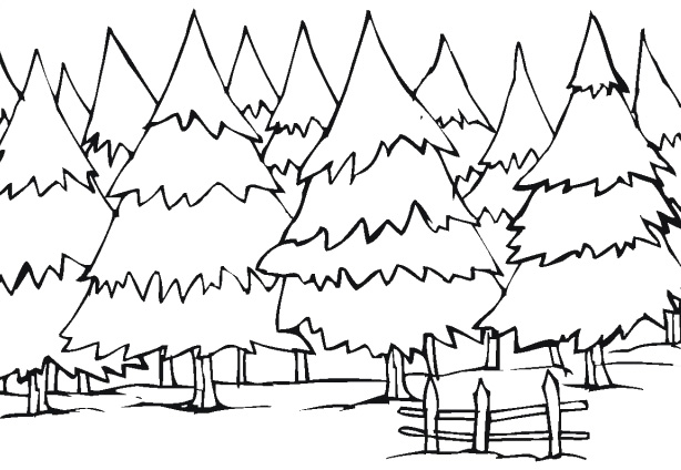 Pine Tree coloring #2, Download drawings