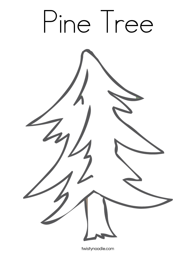 Pine Tree coloring #18, Download drawings