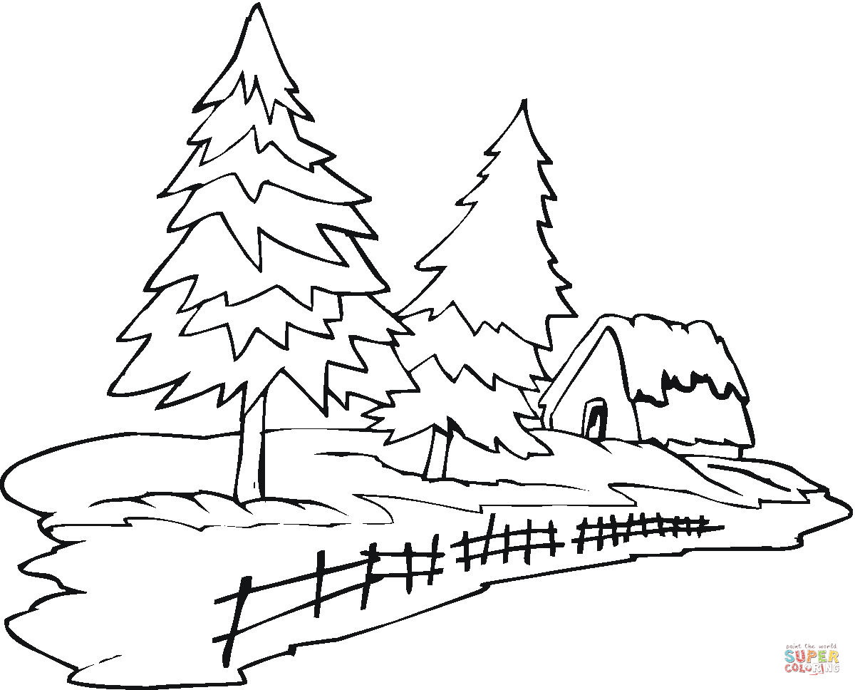 Pine Tree coloring #9, Download drawings